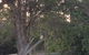 Huskisson Beach Bed And Breakfast - thumb 7