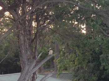 Huskisson Beach Bed And Breakfast - Darwin Holiday 7