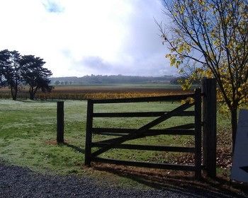 Yering Farm Wines - Darwin Holiday 10