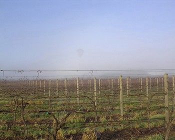 Yering Farm Wines - Darwin Holiday 17