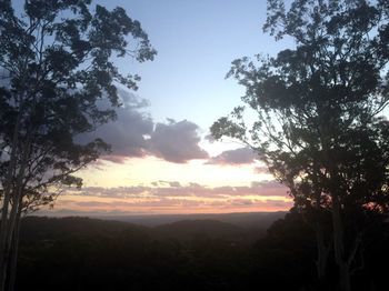 Phoenix Eumundi Bed & Breakfast - Darwin Holiday 14