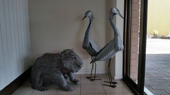 Motel In Nambour - Darwin Holiday 7