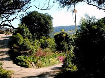 Top Of The Hill - Darwin Holiday 3