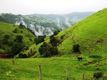 Top Of The Hill - Darwin Holiday 5