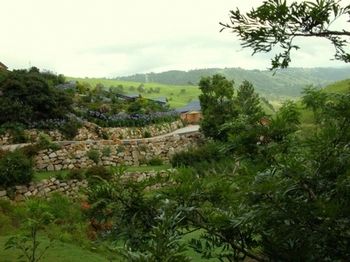 Top Of The Hill - Darwin Holiday 6