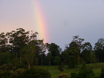 Bellthorpe Stays - Darwin Holiday 19