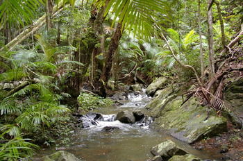 Bellthorpe Stays - Darwin Holiday 25