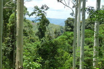 Bellthorpe Stays - Darwin Holiday 31