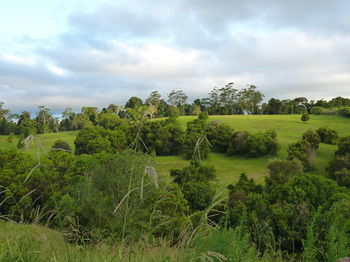 Bellthorpe Stays - Darwin Holiday 34