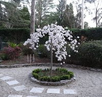 Corner Manor Leura - Darwin Holiday