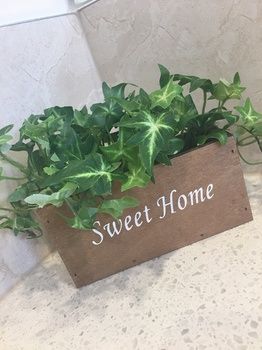 Ivy Units Glen Waverley - Darwin Holiday 11