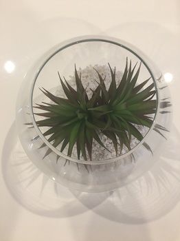 Ivy Units Glen Waverley - Darwin Holiday 12