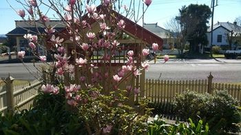 37 Queen Gloucester - Darwin Holiday 5