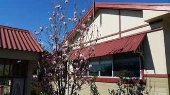 37 Queen Gloucester - Darwin Holiday 12