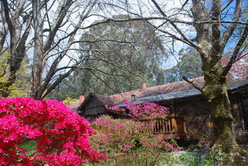 Rocky Creek Art Garden B&B - Darwin Holiday 3