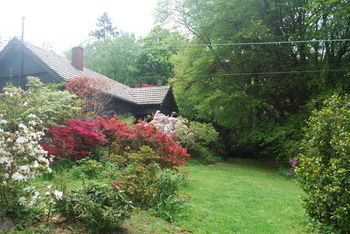 Rocky Creek Art Garden B&B - Darwin Holiday 4