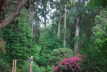 Rocky Creek Art Garden B&B - Darwin Holiday 5