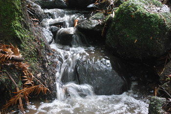 Rocky Creek Art Garden B&B - Darwin Holiday 7
