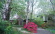 Rocky Creek Art Garden B&B - thumb 11