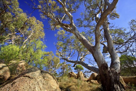 Eldorado Blue Wren Stay - Darwin Holiday 8