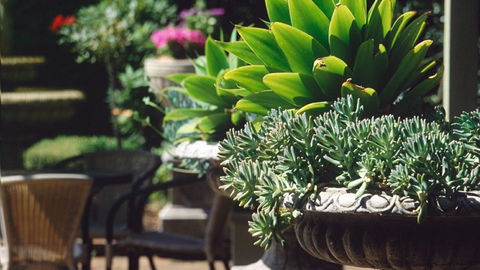 Best Western Plus The Tudor Box Hill - Darwin Holiday 2