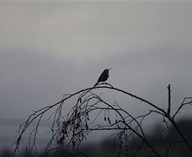 Viewenmore Villa Bed & Breakfast - Darwin Holiday 5