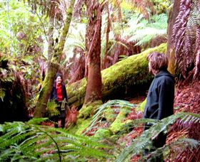 Huon Bush Retreats - Darwin Holiday 3