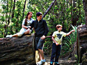 Tahune Airwalk Lodge - Darwin Holiday 0