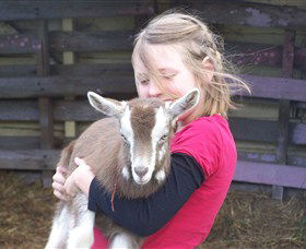 Eden Orchard And Farmstay - Darwin Holiday 2