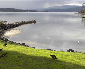 Huon Charm Waterfront Cottage - Darwin Holiday 3