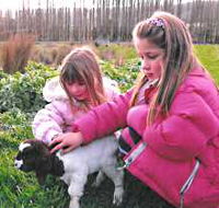 Huon Valley Caravan Park