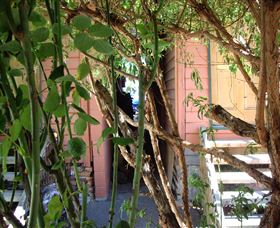 Memory Lane Cottages - Darwin Holiday 2