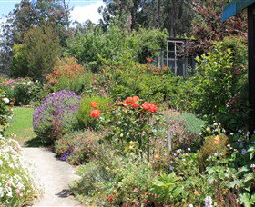 Thelma Retreat - Darwin Holiday 2