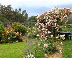 Thelma Retreat - Darwin Holiday 3