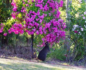 River House - The - Darwin Holiday 1