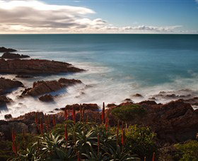 Boat Harbour Beach House - The Waterfront - Darwin Holiday 4