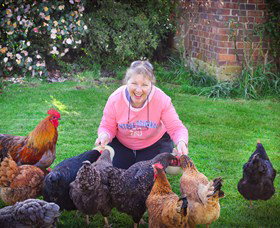 Pinners' Bed And Breakfast - Darwin Holiday 3