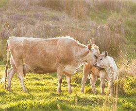 Pinners' Bed And Breakfast - Darwin Holiday 5
