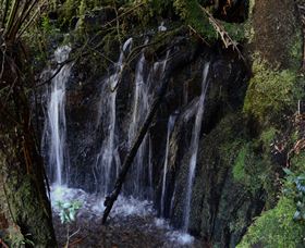 Waratah Caravan And Camping Ground - Darwin Holiday 2