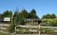 Blueberry B & B - thumb 1