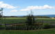 Blueberry B & B - thumb 0