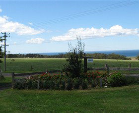 Blueberry B & B - Darwin Holiday 0