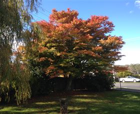 Acacia Bed And Breakfast - Darwin Holiday 3