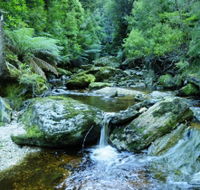 Tarkine Wilderness Experience at Corinna