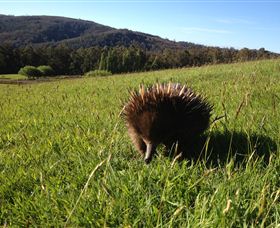 Silver Ridge Retreat - Darwin Holiday 1