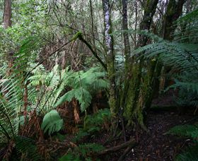 Silver Ridge Retreat - Darwin Holiday 4