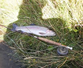 Quamby Pines Chalet B & B - Darwin Holiday 5