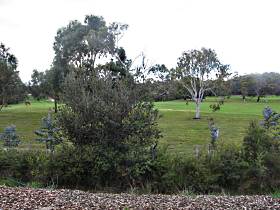 Bicheno Holiday Rentals - Hazards View Drive Coles Bay - Darwin Holiday 1