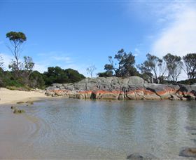 Bed In The Treetops - Darwin Holiday 1