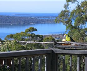 Bed In The Treetops - Darwin Holiday 2